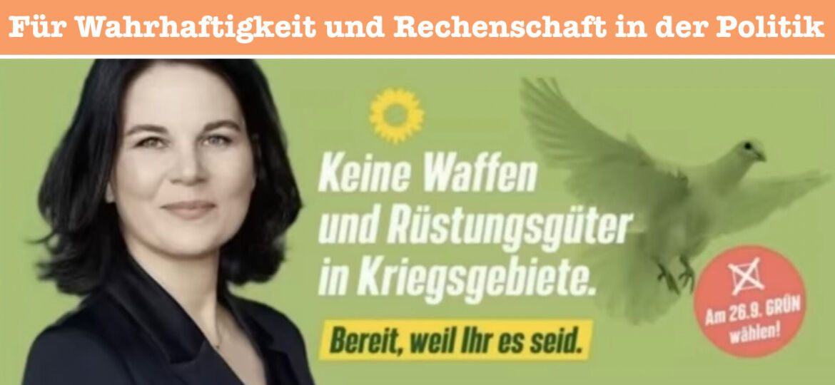 Beitrag Grüne